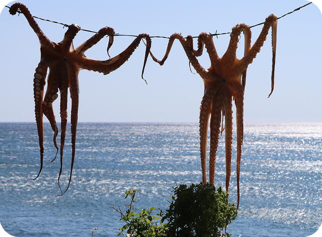 Sigri - Skala Eresou